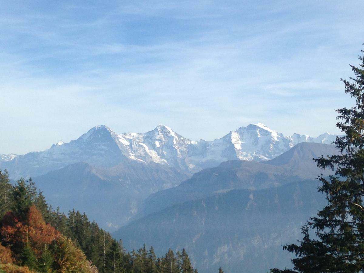App. Seeblick Top Of Interlaken Beatenberg Extérieur photo