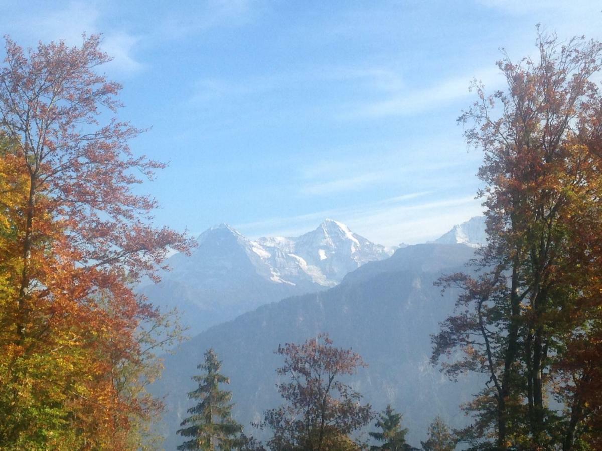App. Seeblick Top Of Interlaken Beatenberg Extérieur photo
