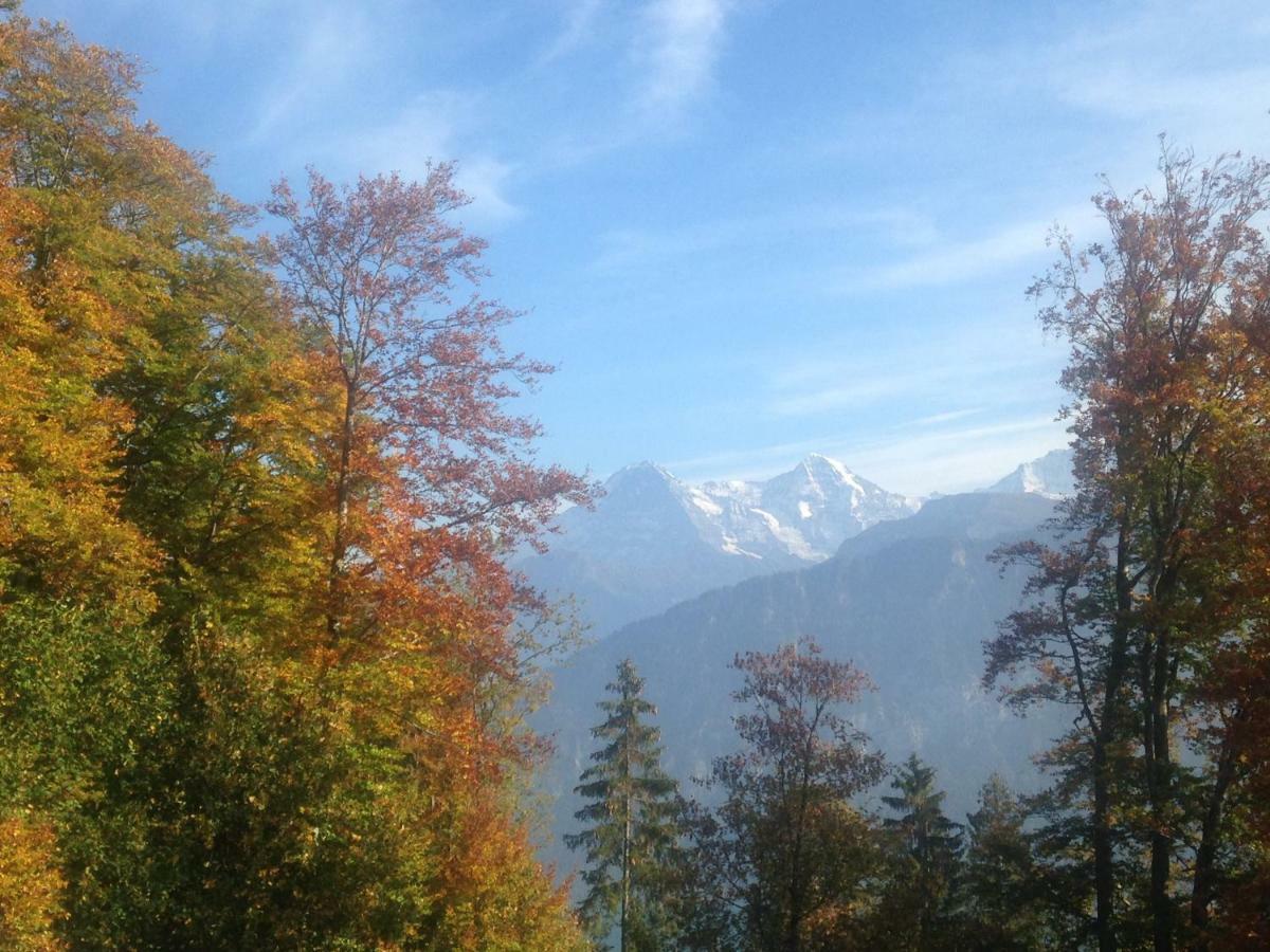 App. Seeblick Top Of Interlaken Beatenberg Extérieur photo