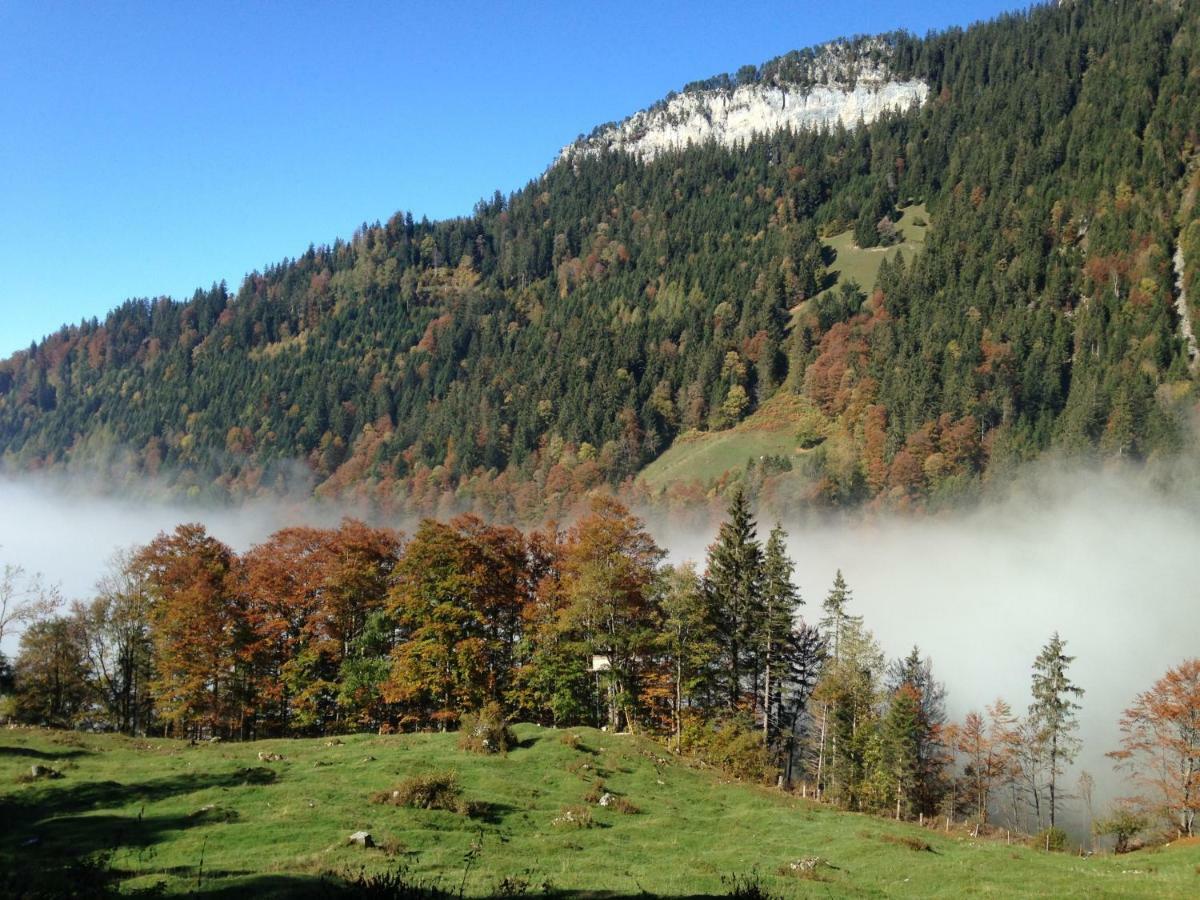 App. Seeblick Top Of Interlaken Beatenberg Extérieur photo